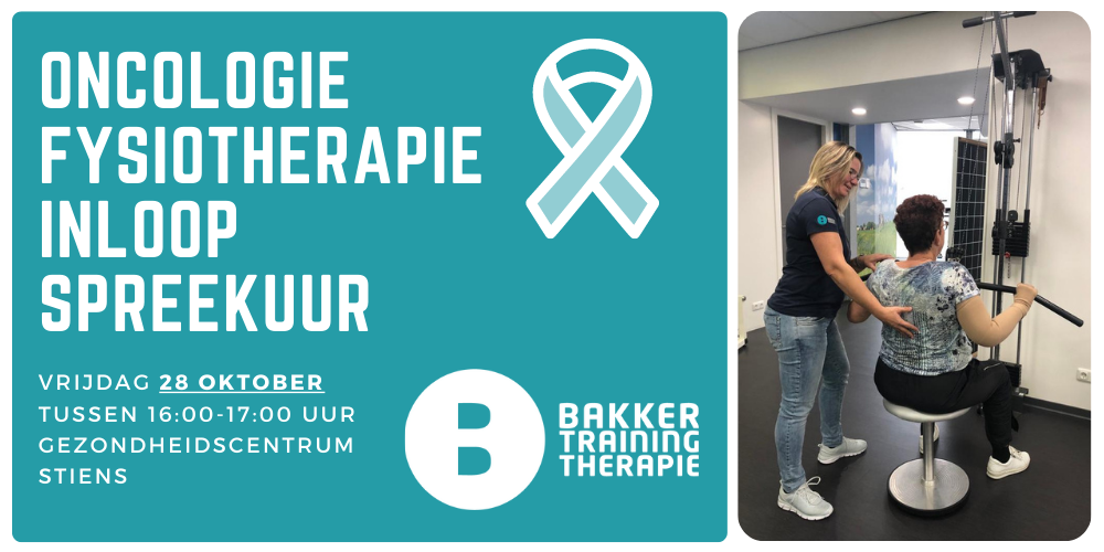 Fysiotherapie Op Maat Bakker Training Therapie Stiens